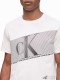 Áo nam Calvin Klein Monogram Logo Flash Stripe Crewneck T-Shirt White
