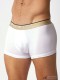 Quần lót nam Emporio Armani Shiny Logoband Trunk White
