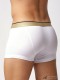 Quần lót nam Emporio Armani Shiny Logoband Trunk White