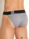 Quần lót nam Ergowear EW1683 MAX FLOW Bikini Gray