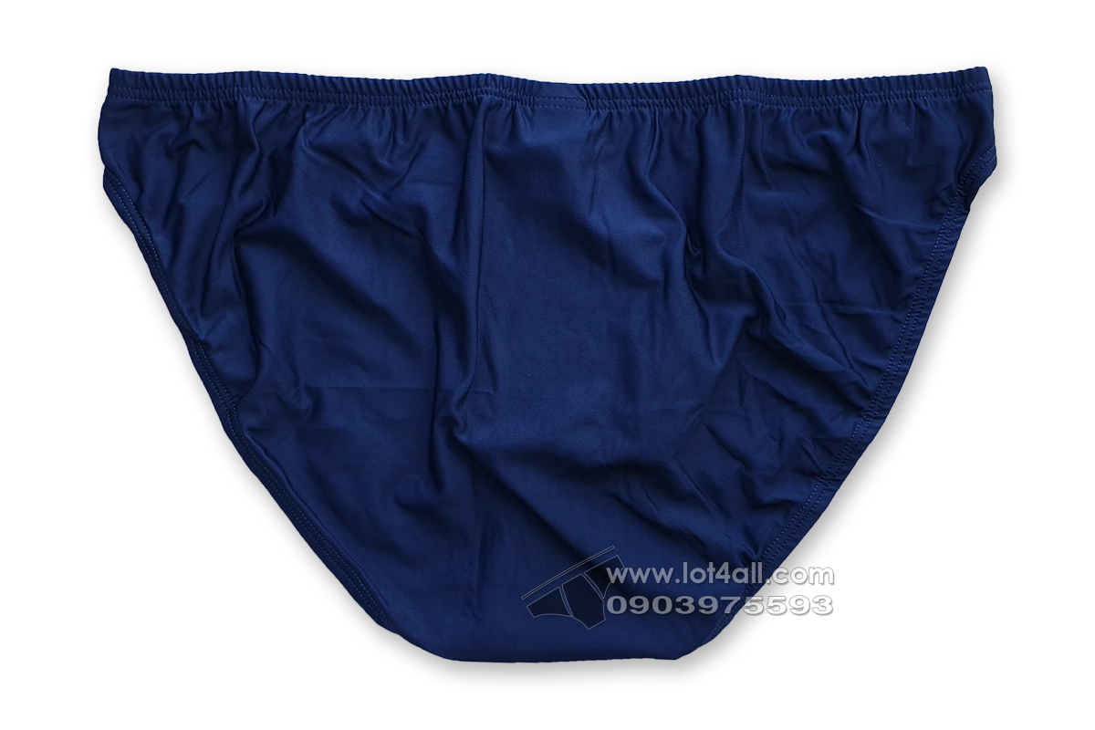 Quần lót nam Ergowear EW1237 X4D Bikini Dark Blue