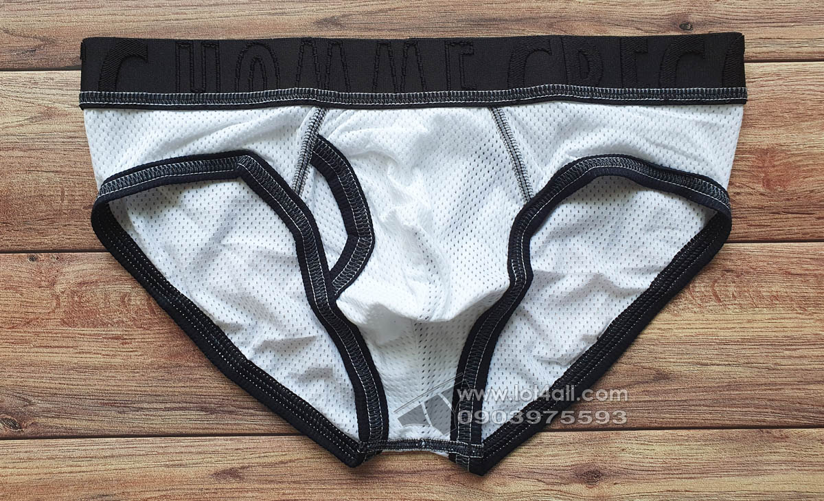 Quần lót nam Gregg Homme 172903 Vintage Brief White